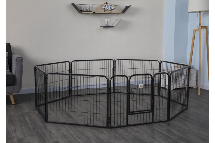 Top 10 Dog Kennels Pens in 2023 Wayfair